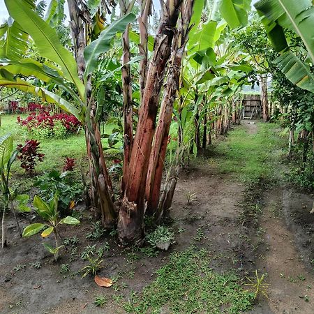The Daun Puntik Homestay Pemenang Luaran gambar
