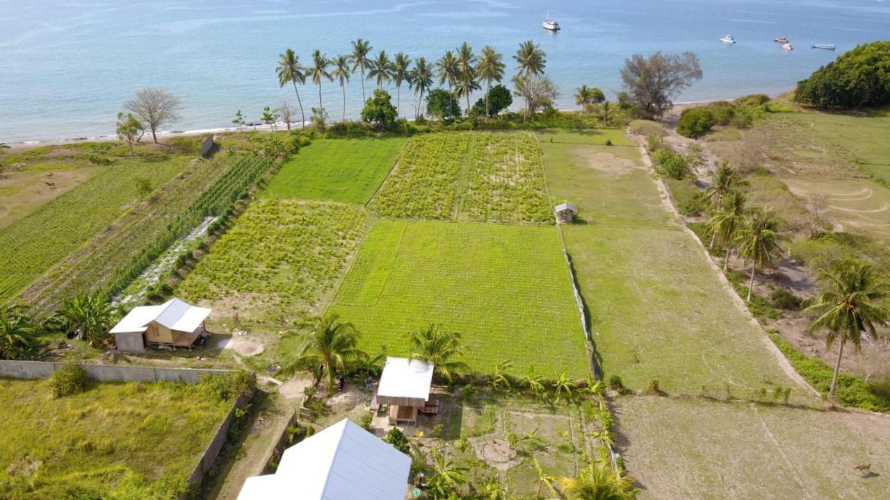 The Daun Puntik Homestay Pemenang Luaran gambar
