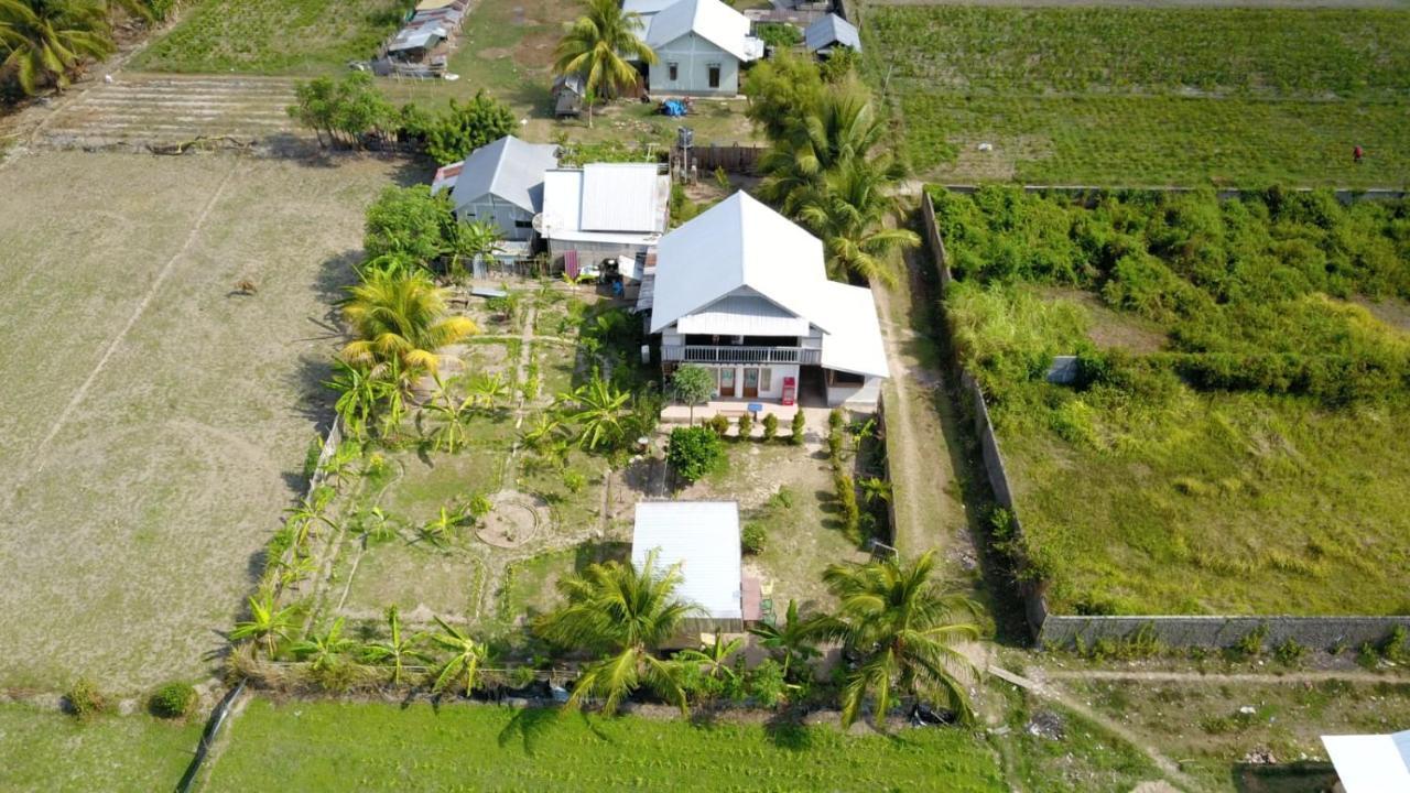 The Daun Puntik Homestay Pemenang Luaran gambar
