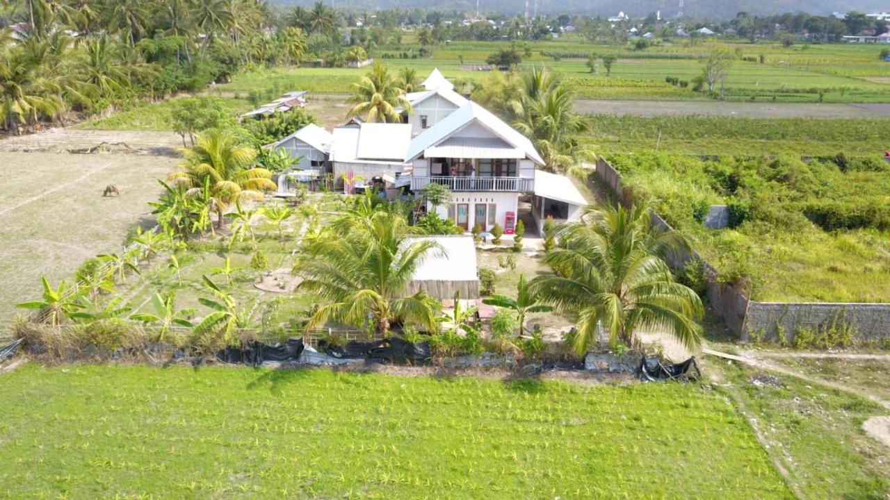 The Daun Puntik Homestay Pemenang Luaran gambar
