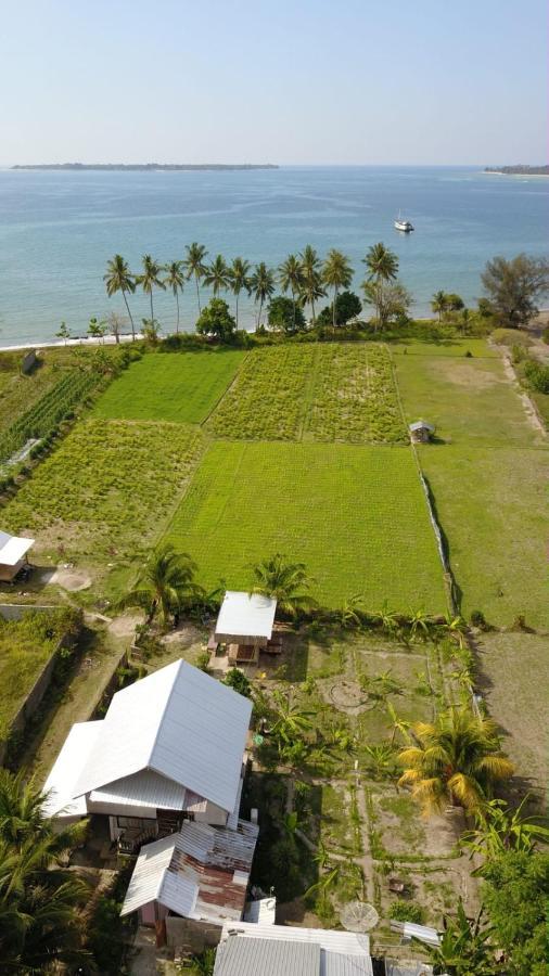 The Daun Puntik Homestay Pemenang Luaran gambar