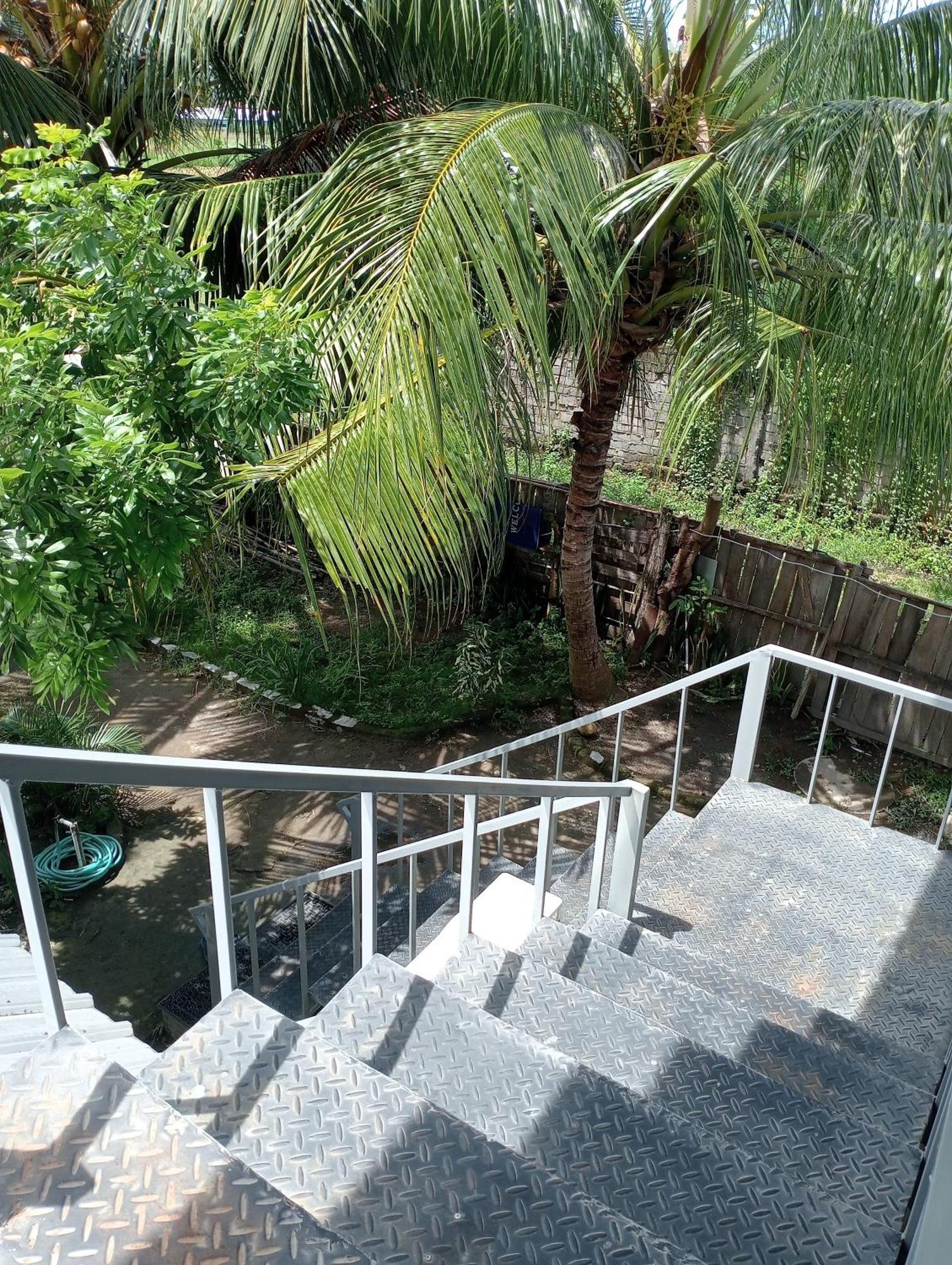 The Daun Puntik Homestay Pemenang Luaran gambar