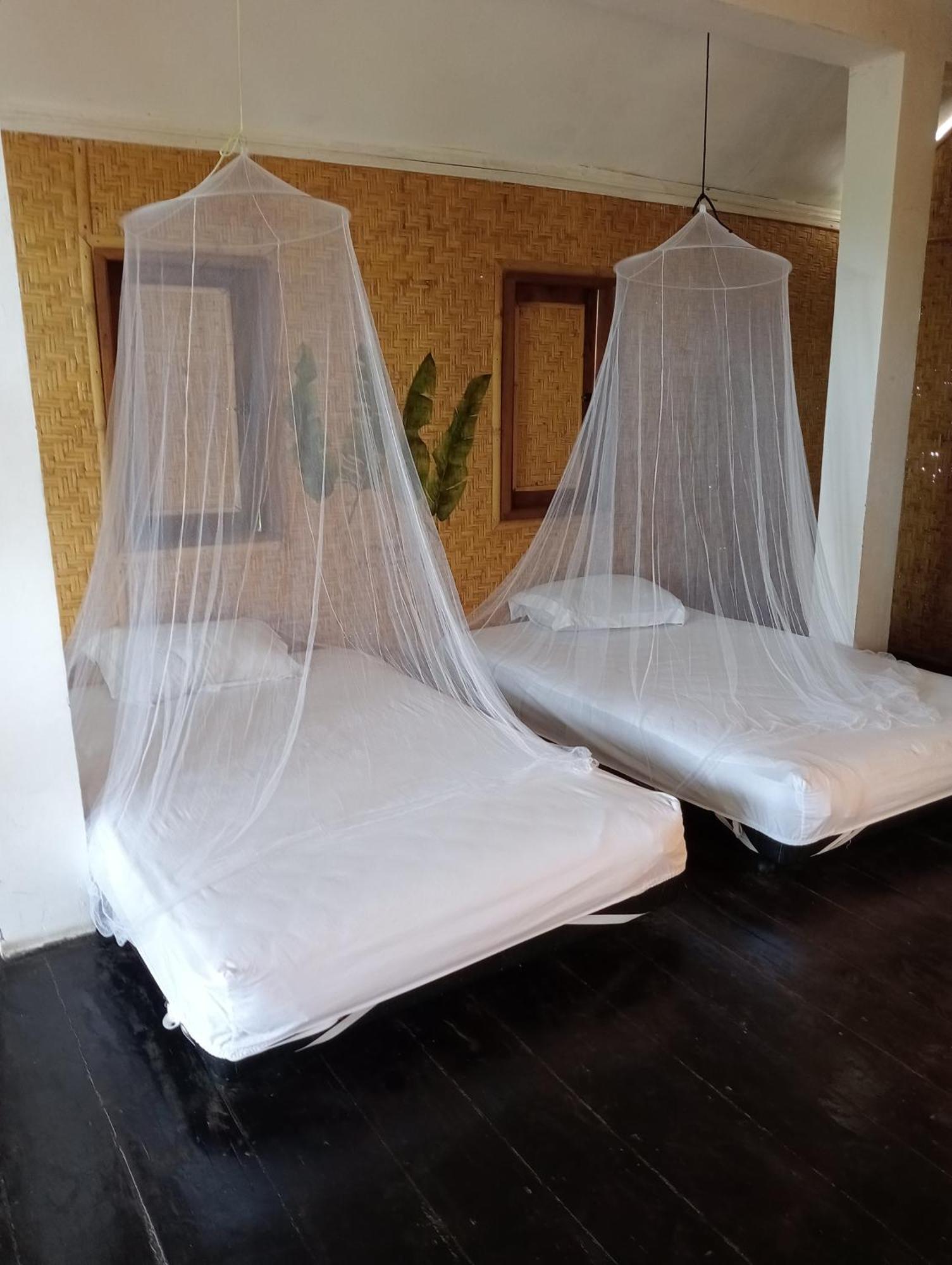 The Daun Puntik Homestay Pemenang Luaran gambar