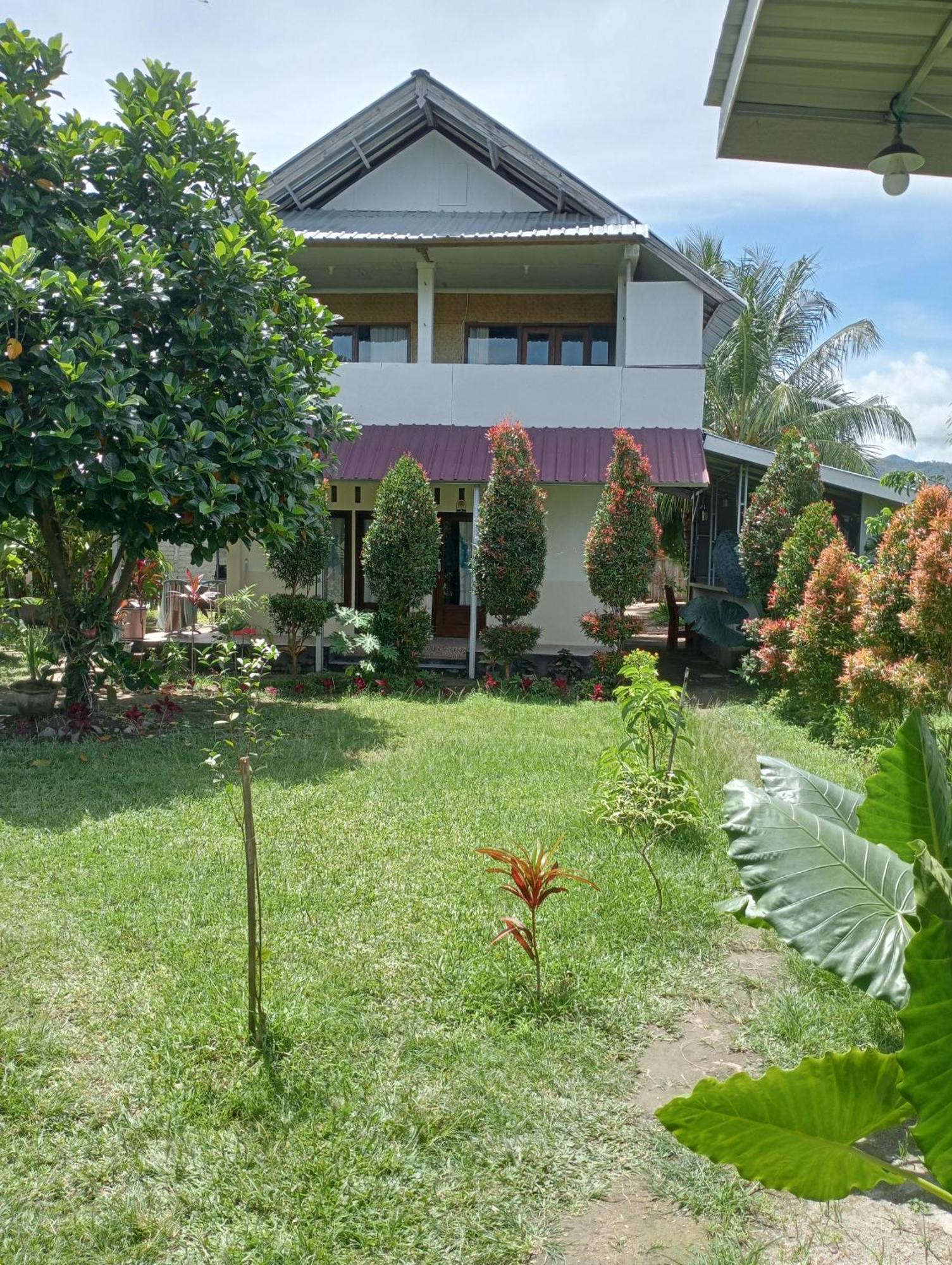 The Daun Puntik Homestay Pemenang Luaran gambar