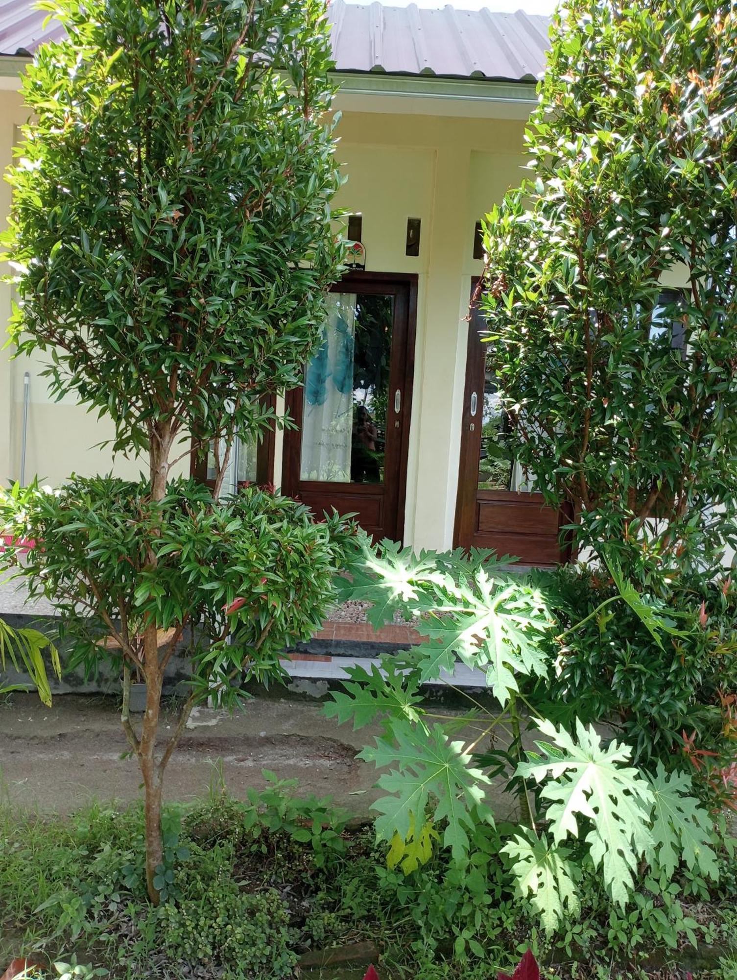 The Daun Puntik Homestay Pemenang Luaran gambar